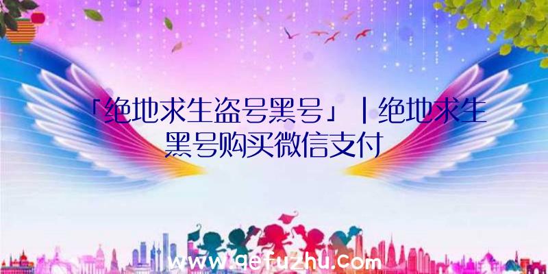 「绝地求生盗号黑号」|绝地求生黑号购买微信支付
